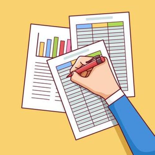 Vadis 2024–2025 Annual Achievement Report